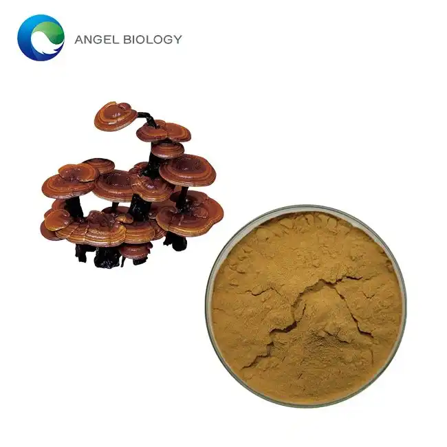 How Is Lucid Ganoderma Extract Standardized for Polysaccharide Content?
